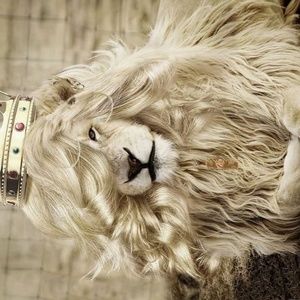 Meet your Posher, Christian